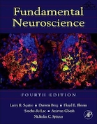 Fundamental Neuroscience | علوم اعصاب اساسی